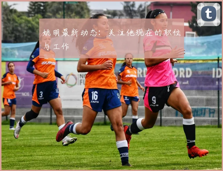 姚明最新动态:关注他现在的职位与工作
